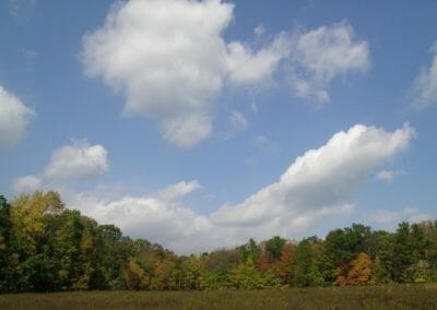 Autumn at The Woods