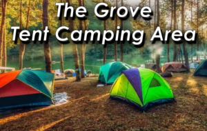 The Tent Grove