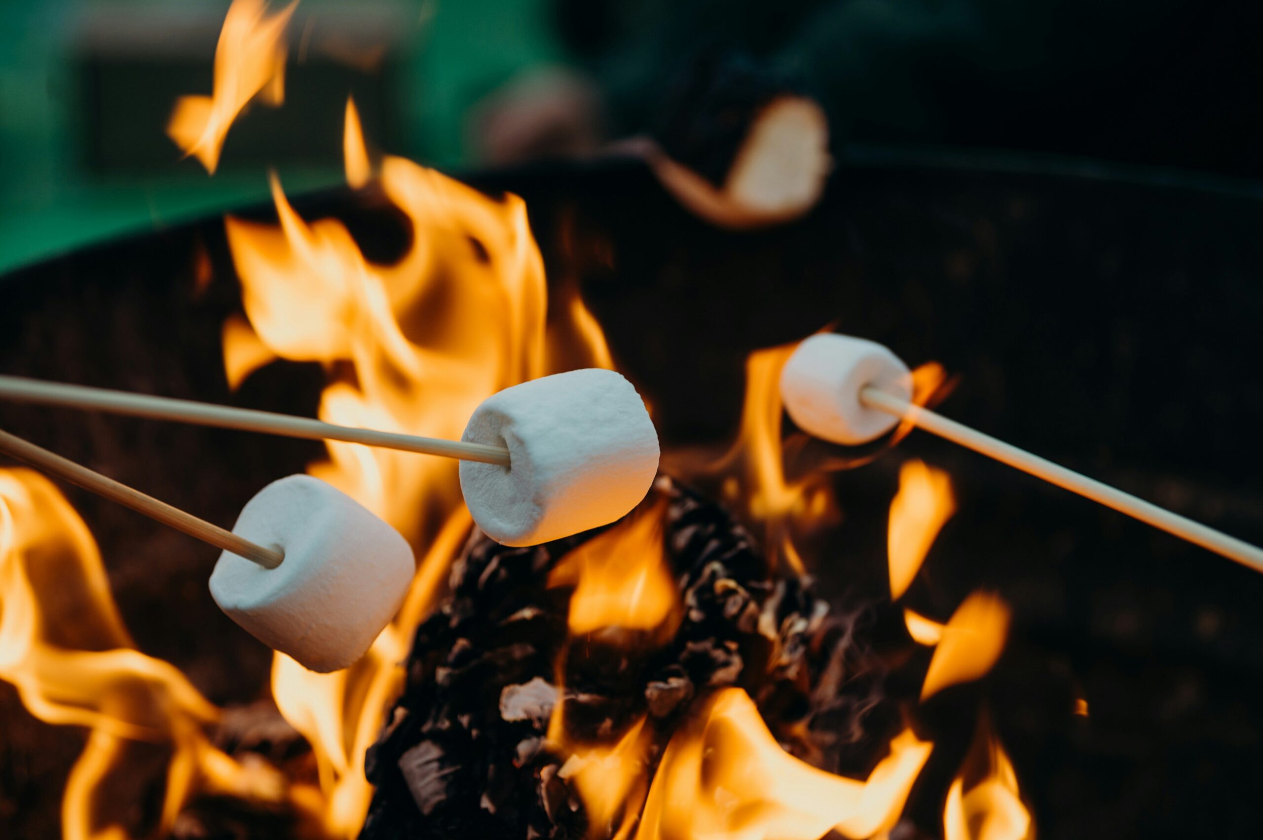 Roasting marshmallows over a campfire
