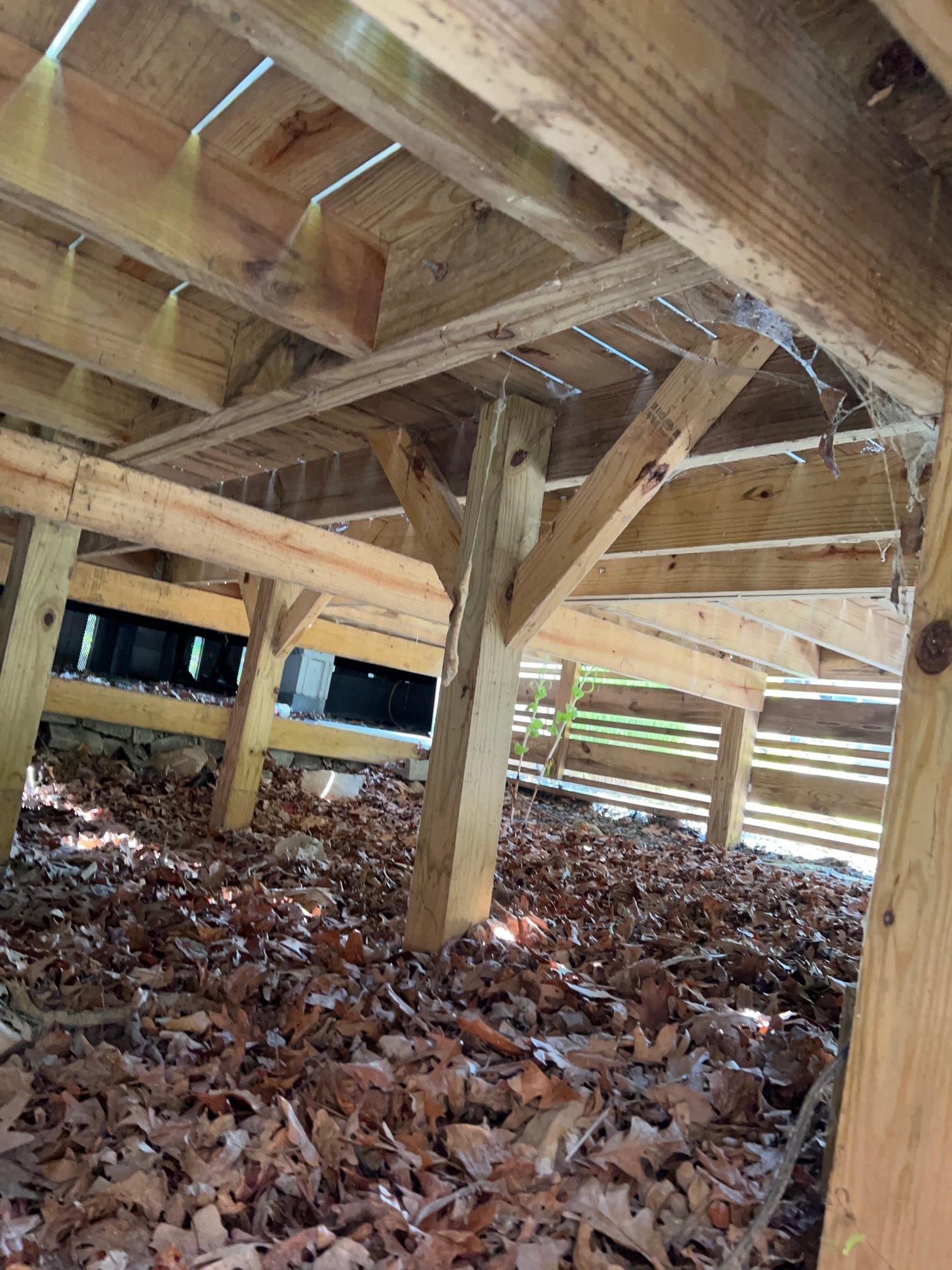 Site 165 deck